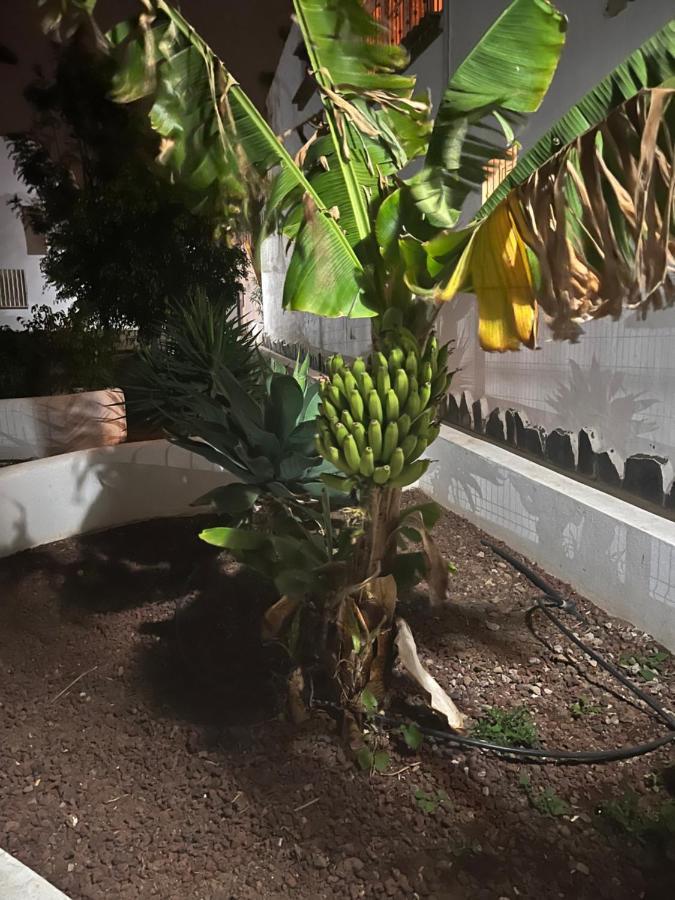 Estudio Costa Del Silencio Chayofita Arona  Kültér fotó